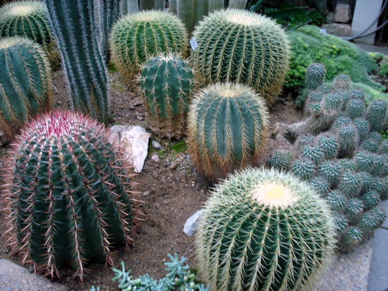 Im botanischen Garten in Erlangen.