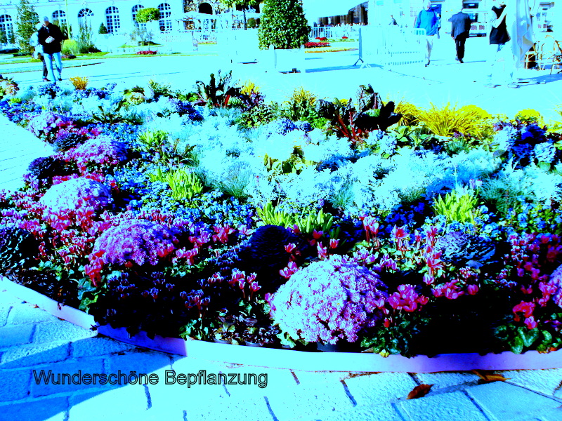 Wunderschöne Bepflanzung