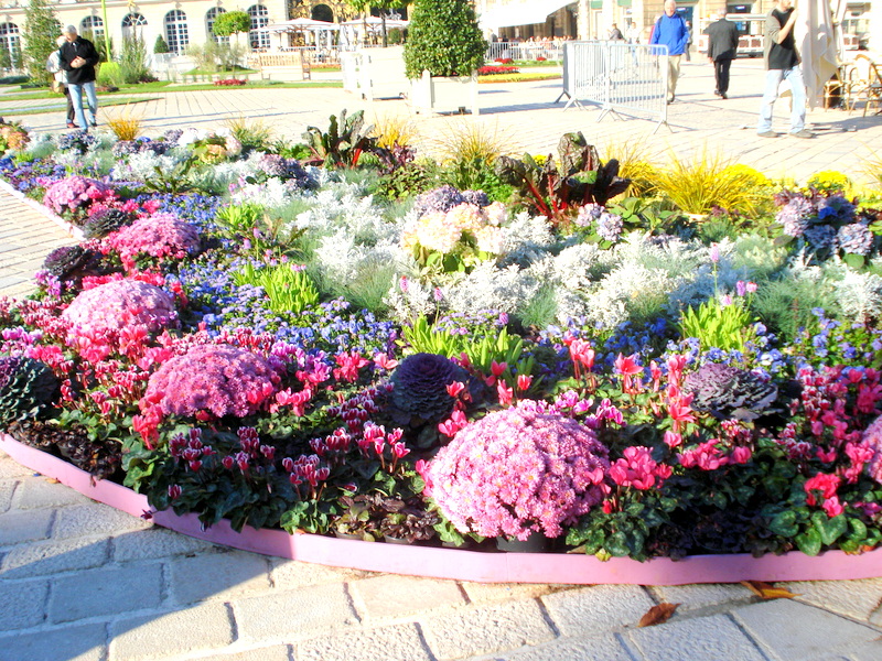 Wunderschöne Bepflanzung