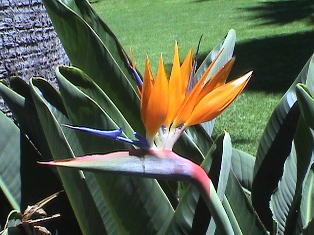 Farbenpracht im Park