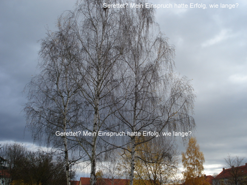 Gerettet? Mein Einspruch hatte Erfolg, wie lange?