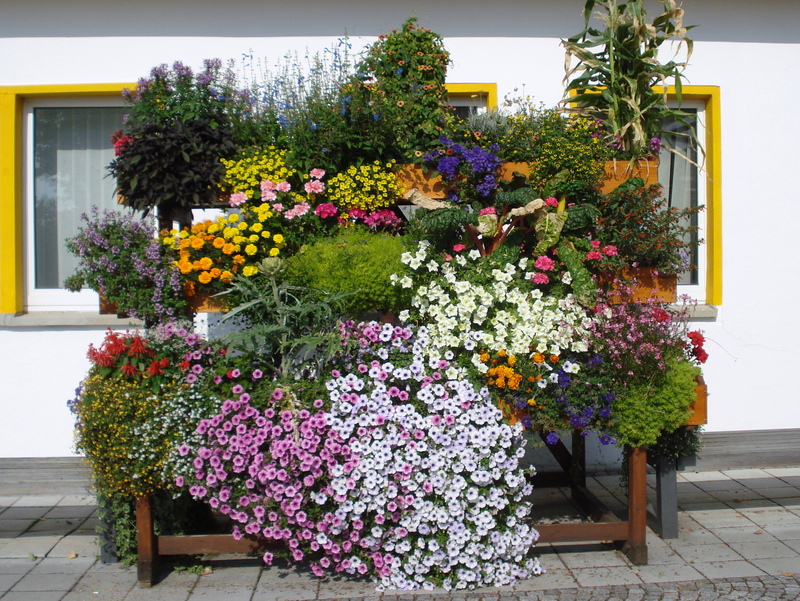 Blumengrüße am Eingang.$