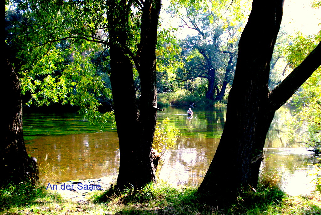 Blick vom Pioniersteg aus.