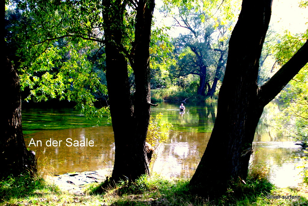 Blick vom Pioniersteg aus.