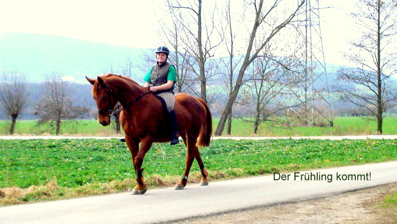 Begegnung auf dem Radweg im Remschütz.