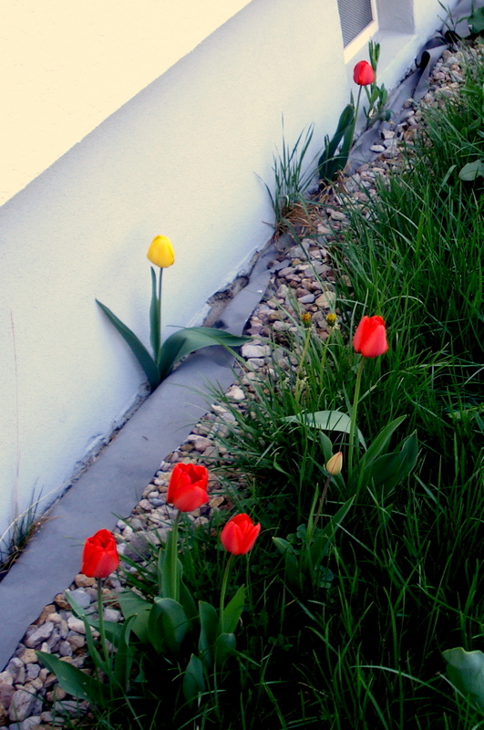 Unbeugsamer Lebenswille.