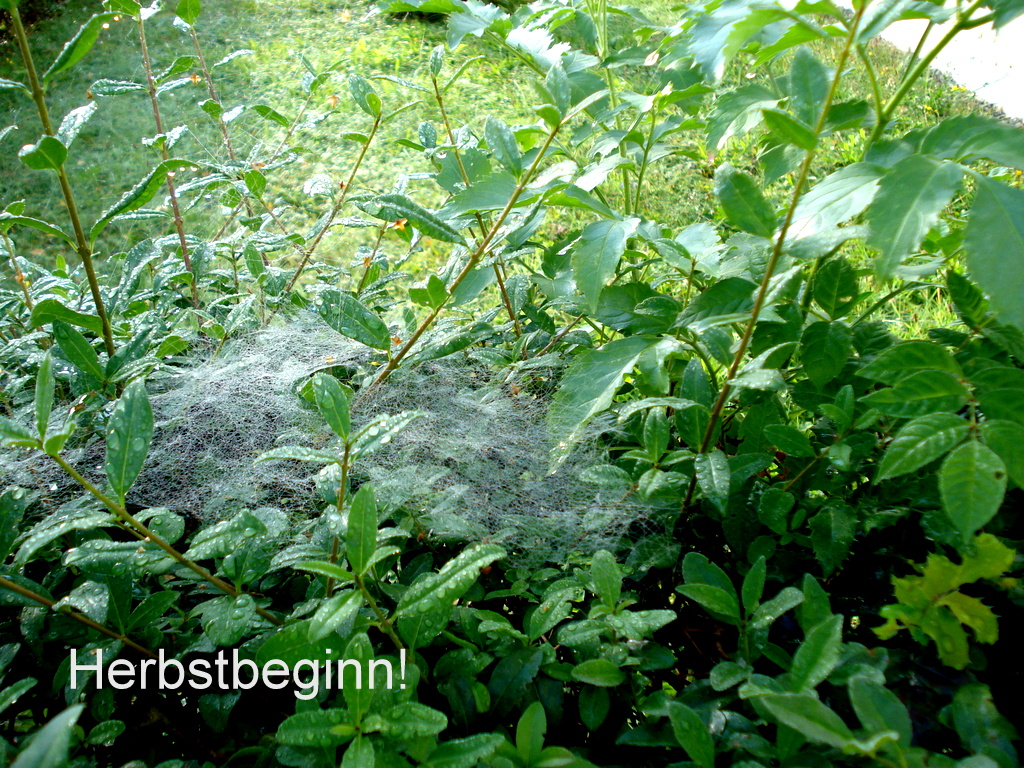 Herbstbeginn!