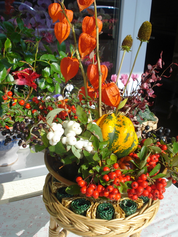 Herbstzeit - unterwegs geschnitten.