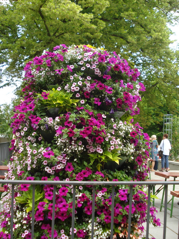 Schönheit am Ausgang.
