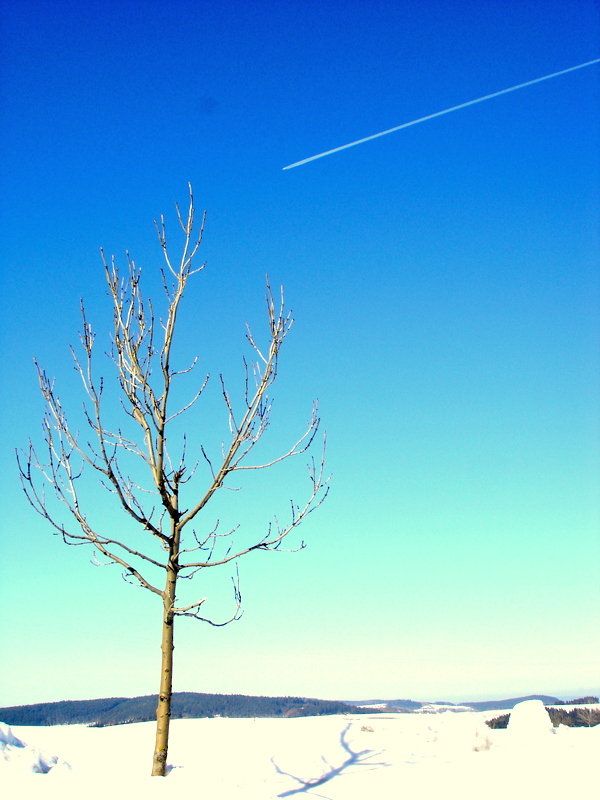 Winter !! am 19.03.2006