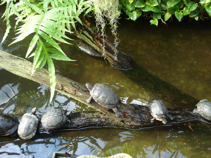 Rechts hat Vorfahrt.