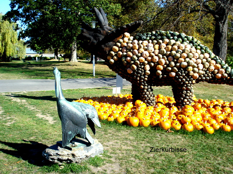 Zierkürbisse