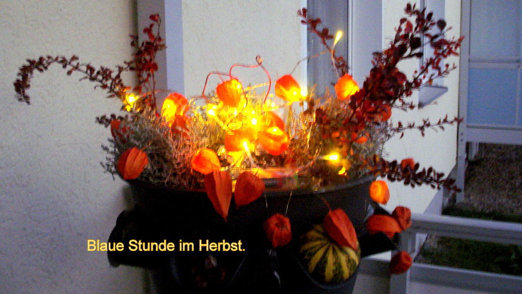 Lampions in der blauen Stunde. 17,20 Uhr