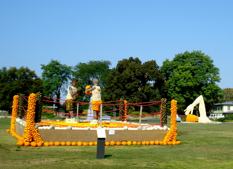 Alles aus Kürbis - Boxkampf