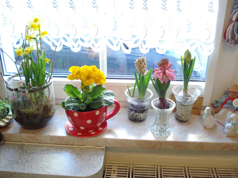 Meine Frühstücksecke.