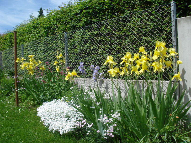 In der Nachbarschaft.