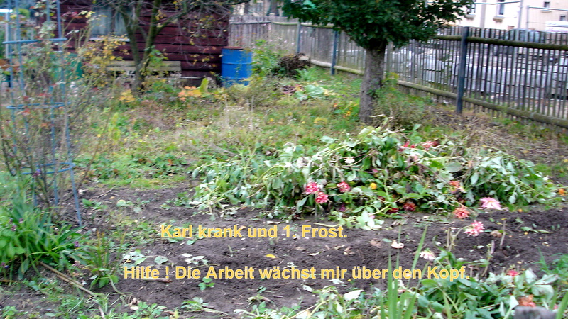 Gartenhilfe dringend gesucht.