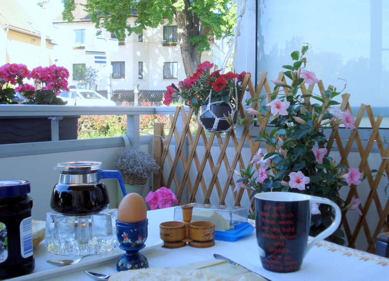 Sonntagmorgen, es sollen 30 Grad werden!