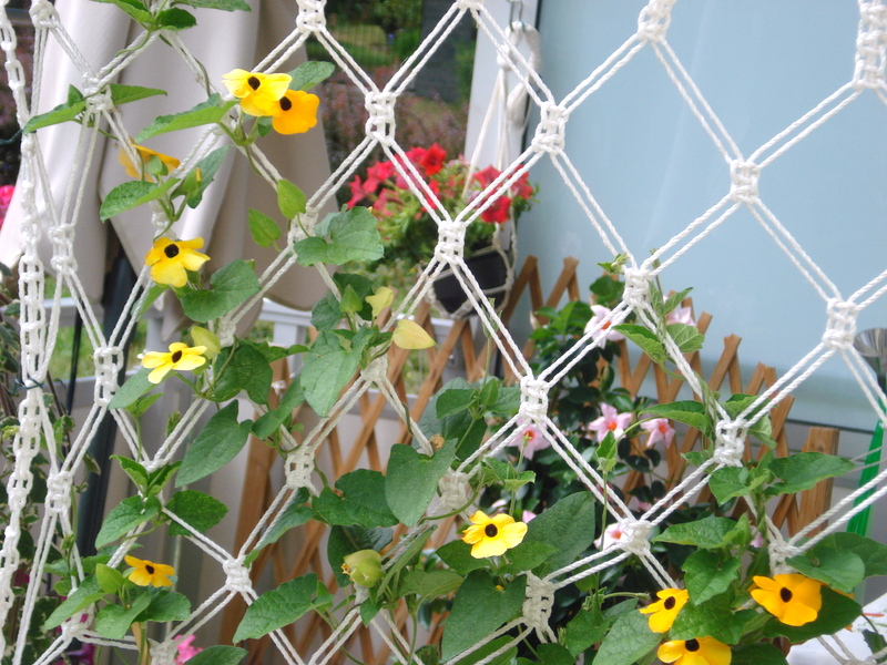 Mein 1. Blick aus dem Schlafzimmer.