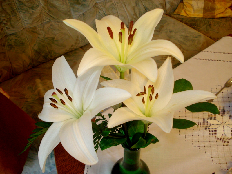 Blütenpracht zum Geburtstag.