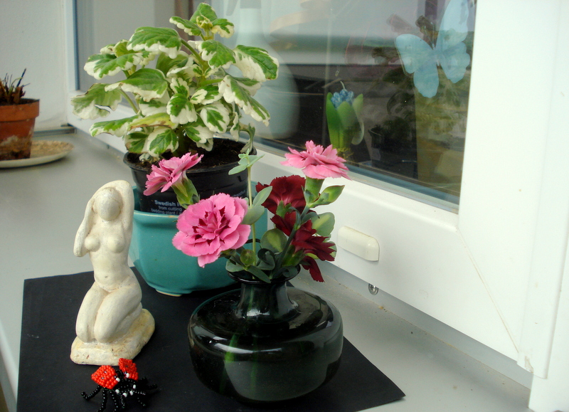 Jungfer im Grünen - Original von Friedrich Fuhrmann.