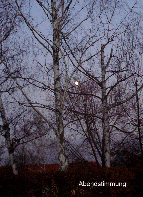 Abendstimmung.