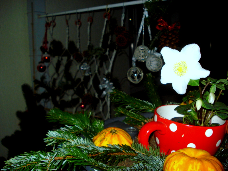 Abend auf dem Balkon.