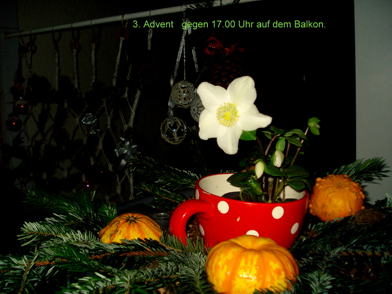 3. Advent   gegen 17.00 Uhr auf dem Balkon.