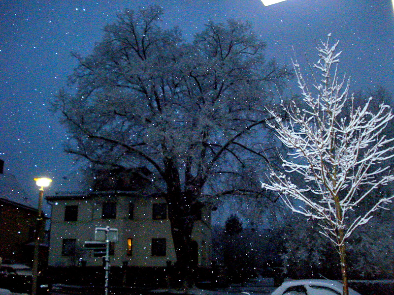 Angesagter Schneesturm!