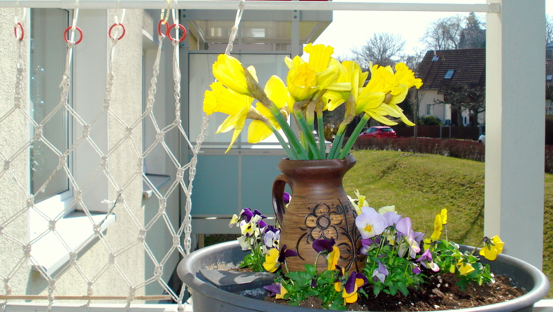 Freude in der Sonne.