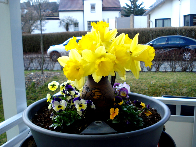 Guck über das Geländer.