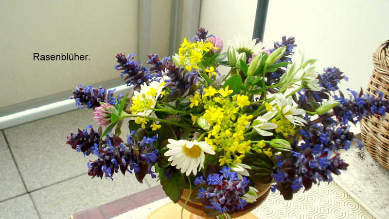Rasenblüher.