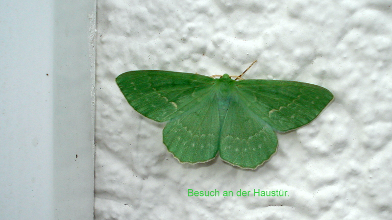 Besuch an der Haustür.
