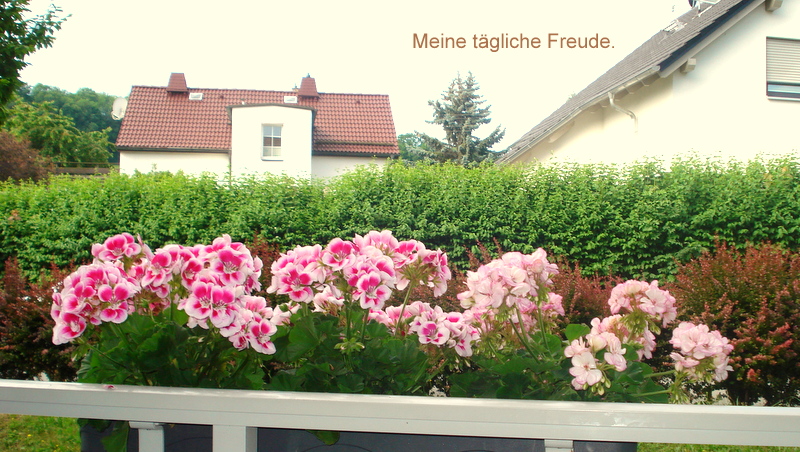 Meine tägliche Freude.