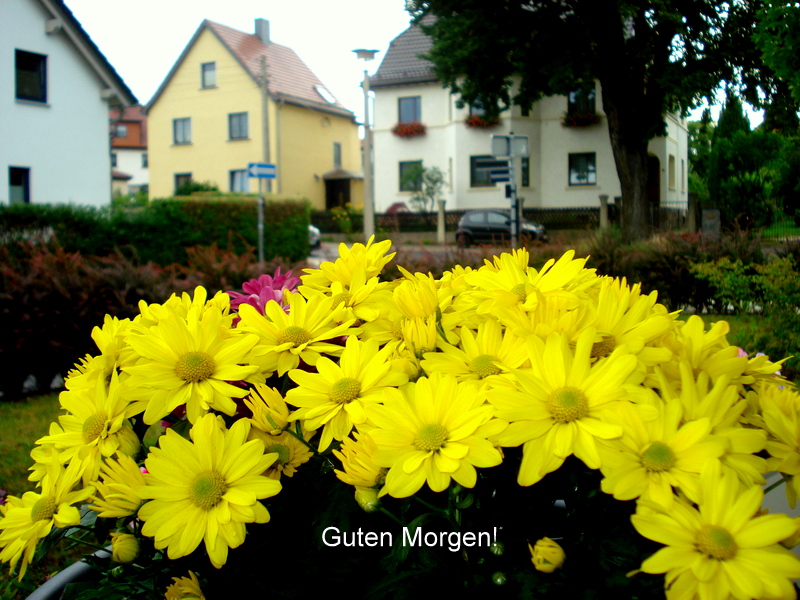 Guten Morgen!