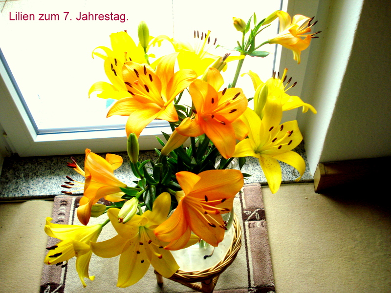 Lilien zum 7. Jahrestag.