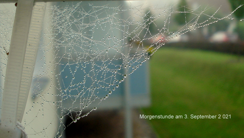 Morgenstunde am 3. September 2 021