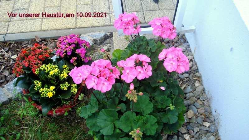 Vor unserer Haustür,am 10.09.2021