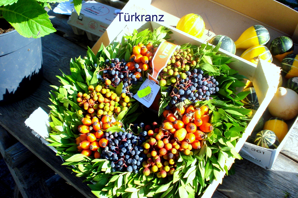 Türkranz beim Gärtner