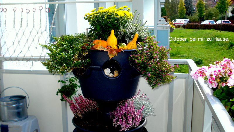 Oktober  bei mir zu Hause.