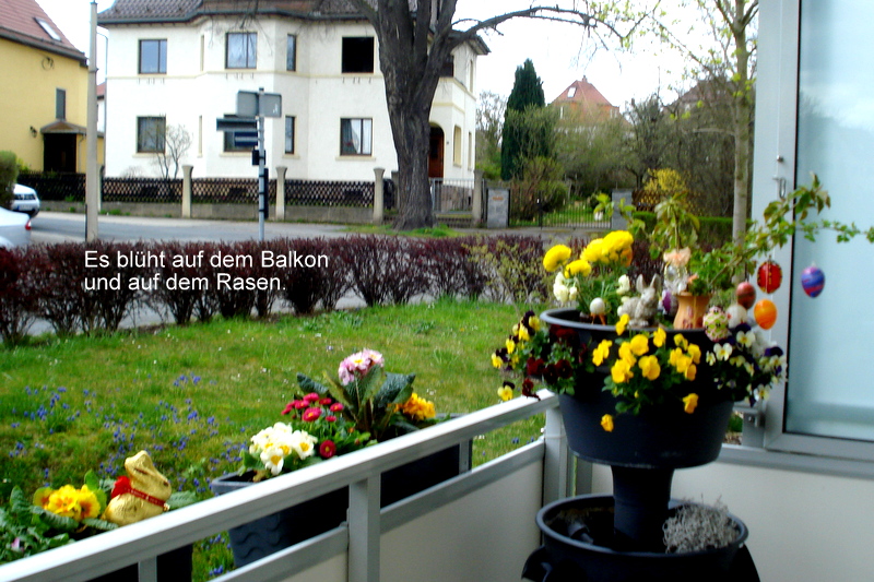 Frühblüher zu Ostern.