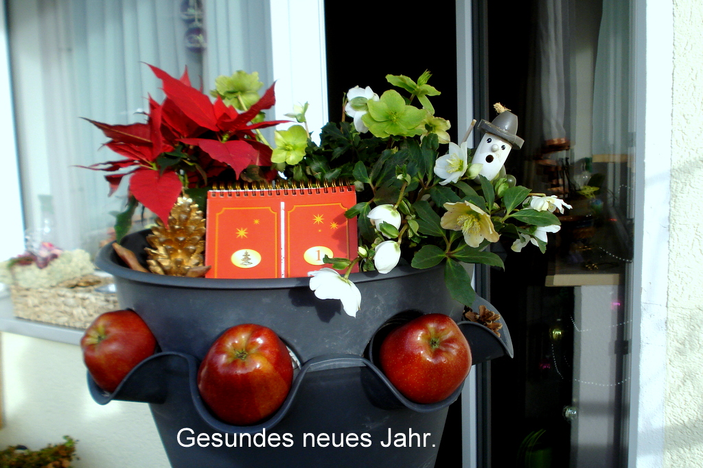 Gesundes neues Jahr.