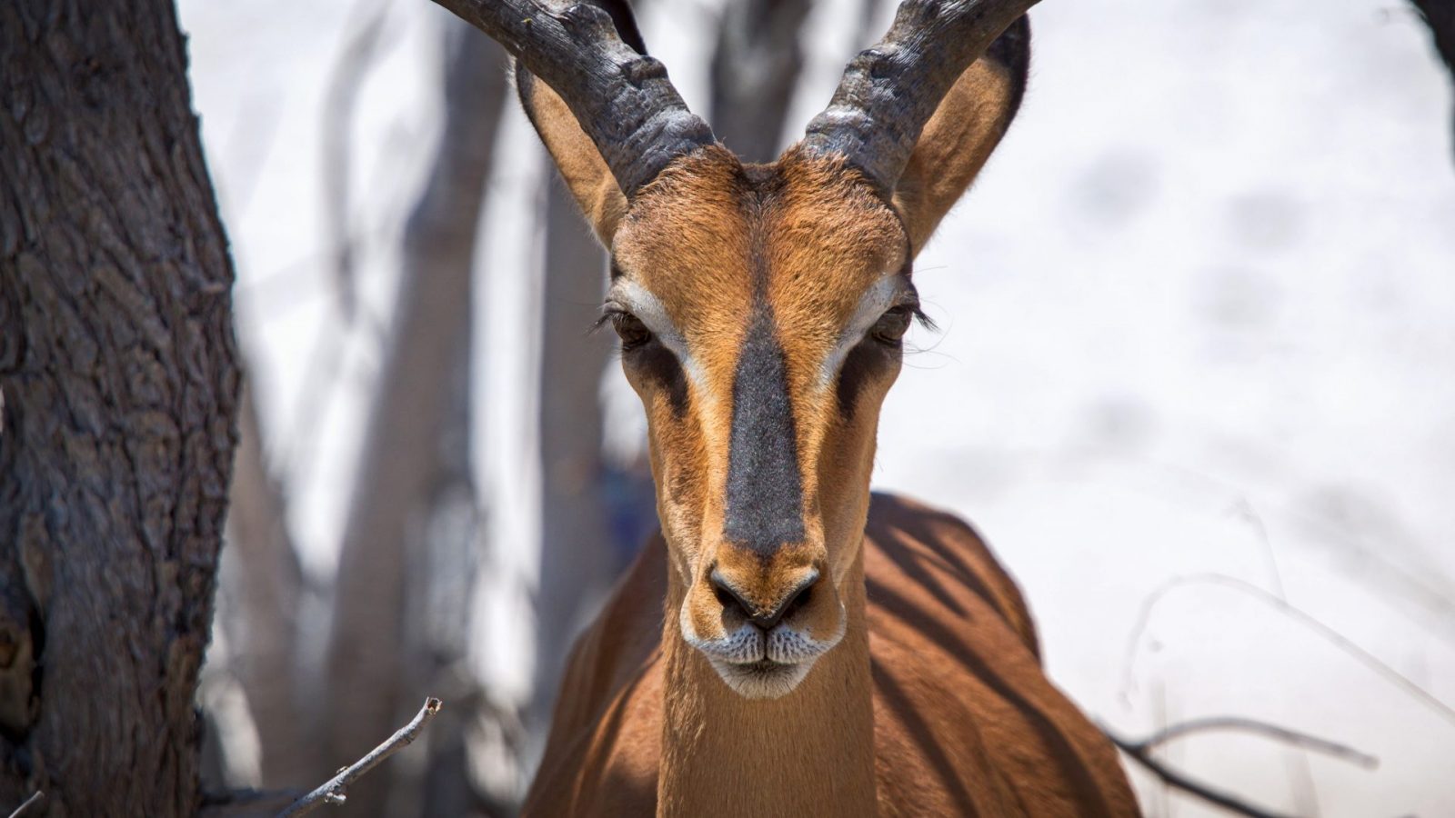 _DSC6680_COLOR projects