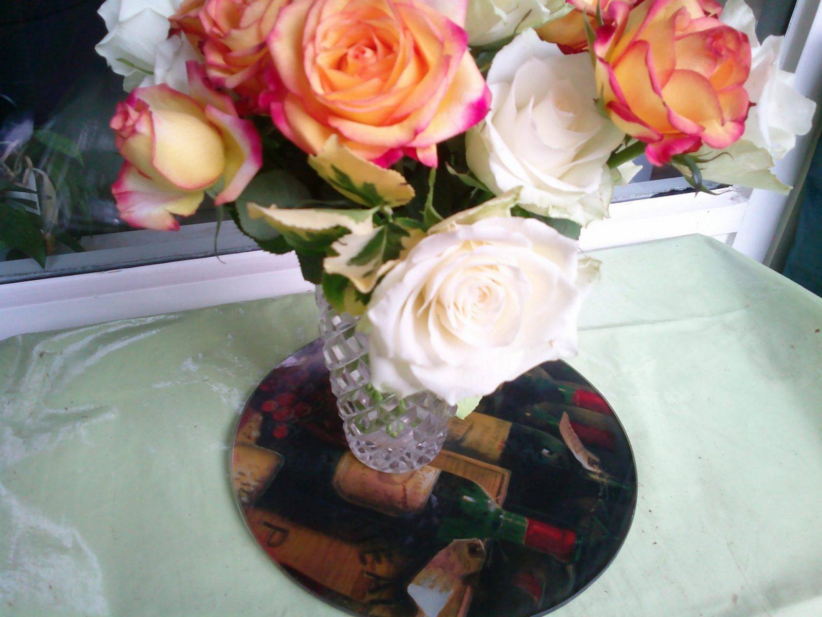 DSCF0014 - Kopie (2)