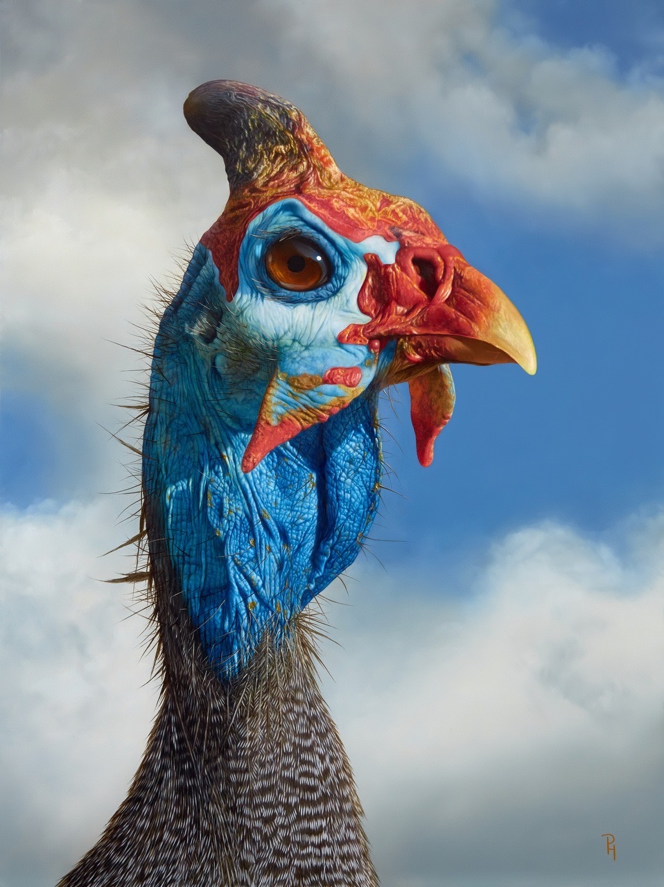 DSC_9053_filteredA (1)