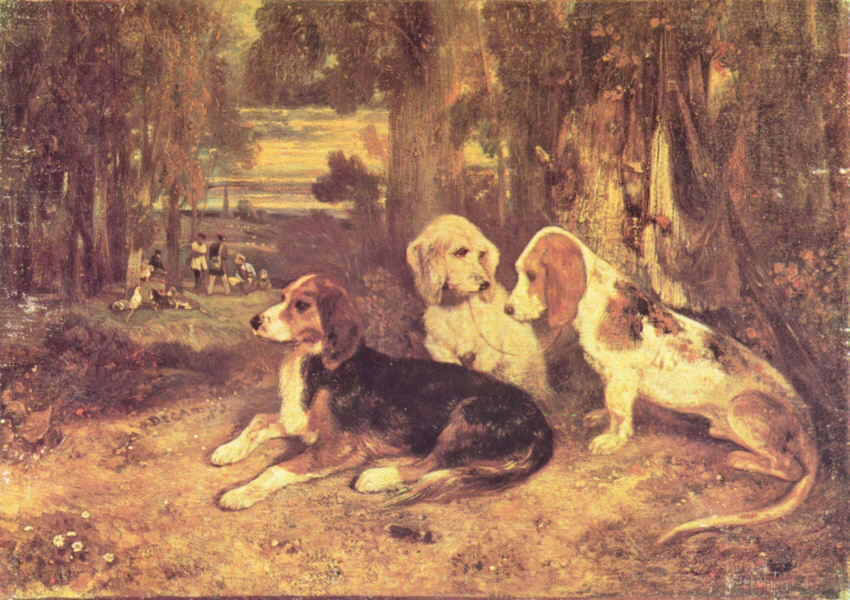 Decamp , Jagdhunde