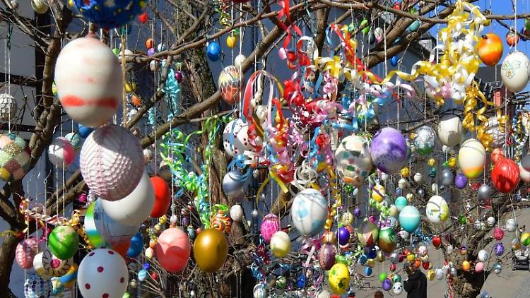 Der-mit-rund-1000-Eiern-geschmuckte-Ostereierbaum-steht-in-der-Blankenburger-Strae-der-Fugangerzone-in-der-Altstadt