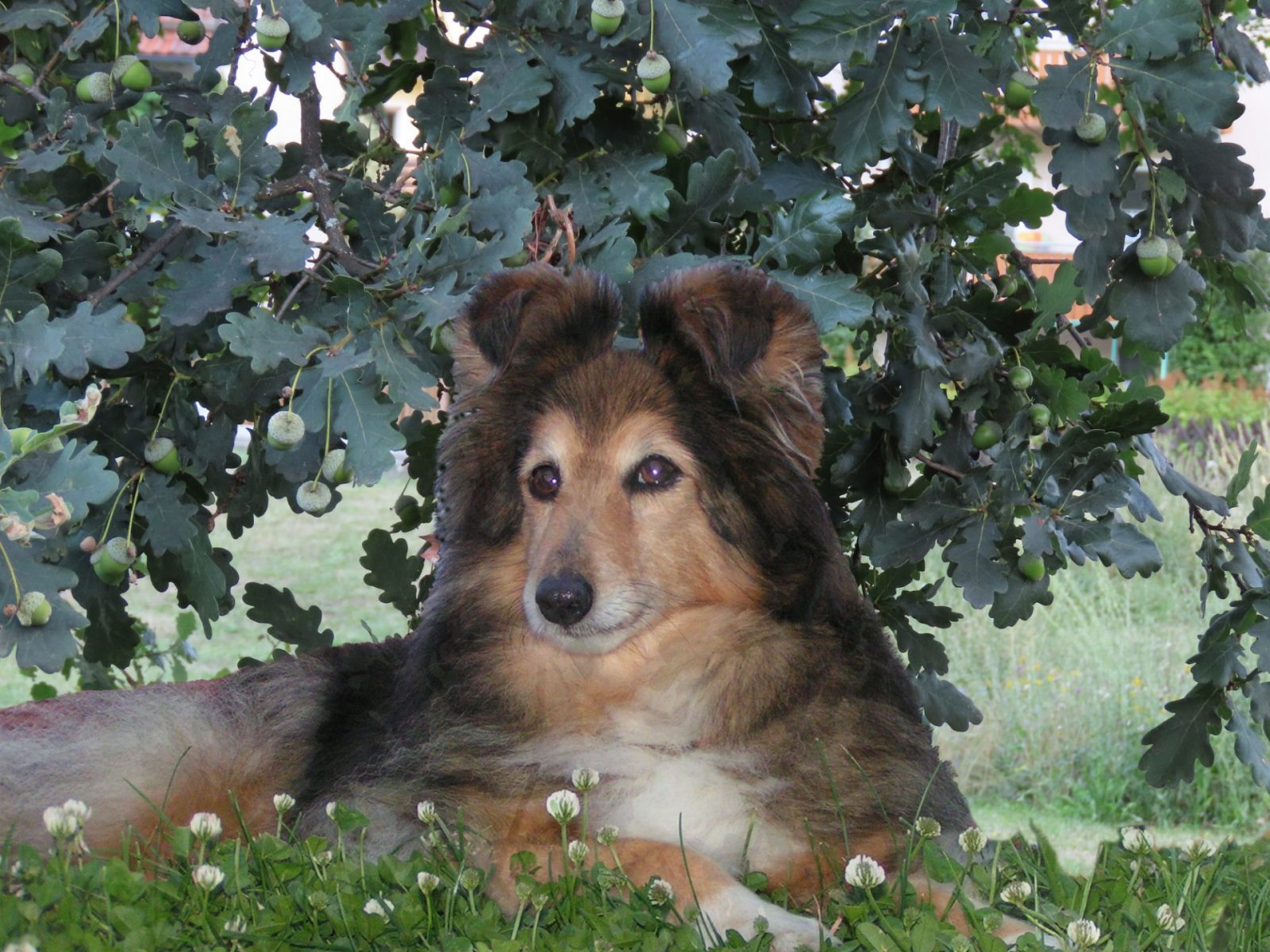 Draussen fühlte sie sich wohl