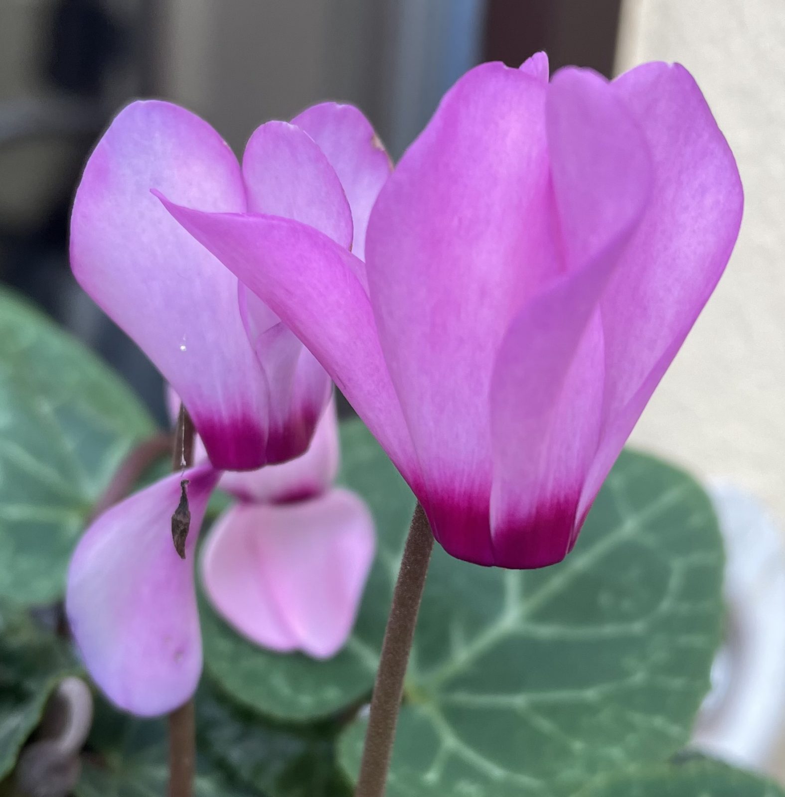 E03839FD-8766-4429-A19F-A3C409D9F9BB