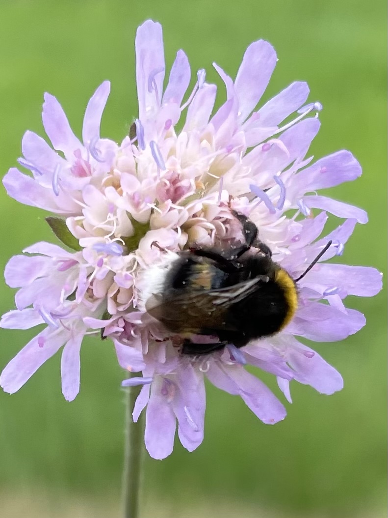 E06C2DC9-2A07-43A7-B7F6-E2FE7860CDBA